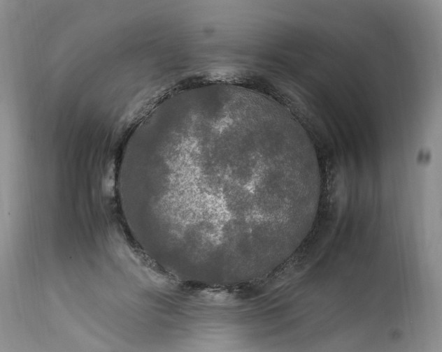 X0000113070502200909110943