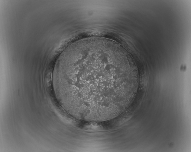 X0000113070503200909110943