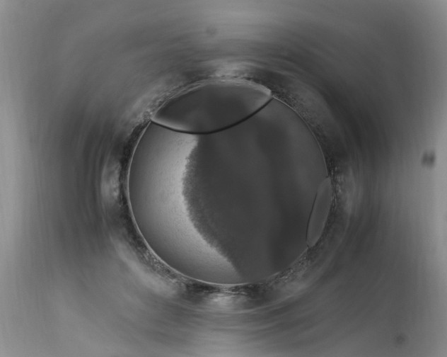 X0000113070504200909110943