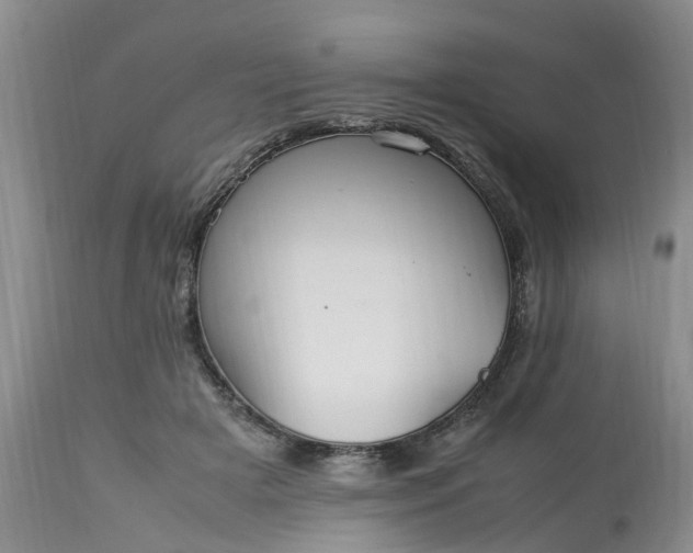 X0000113070505200909110943