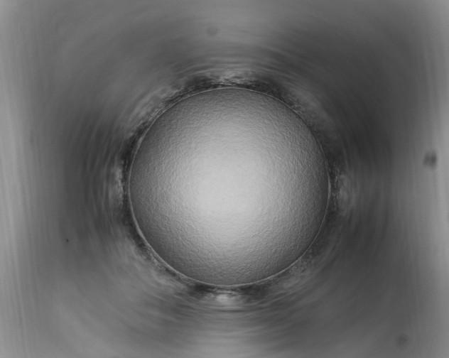 X0000113070506200909110943