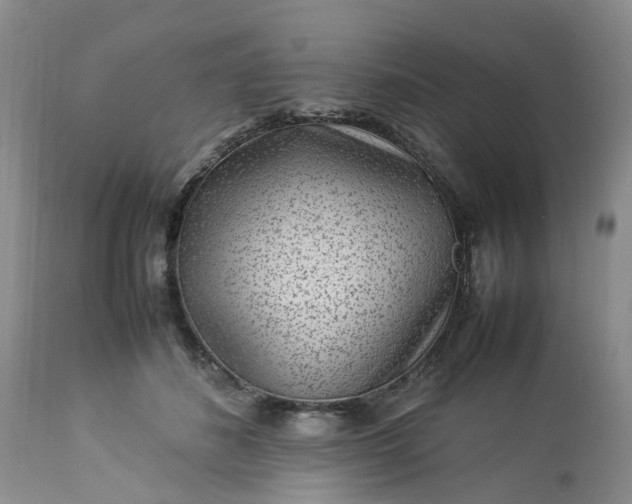 X0000113070508200909110943