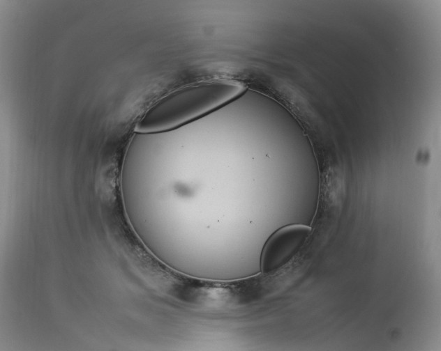 X0000113070509200909110943