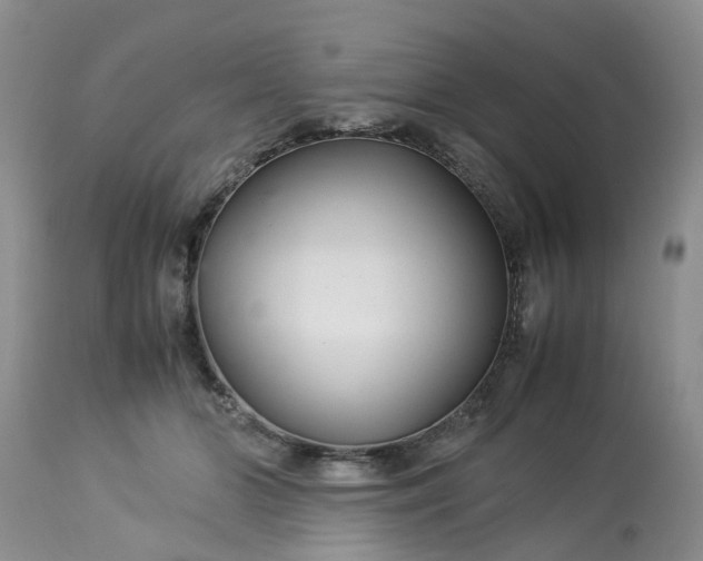 X0000113070510200909110943