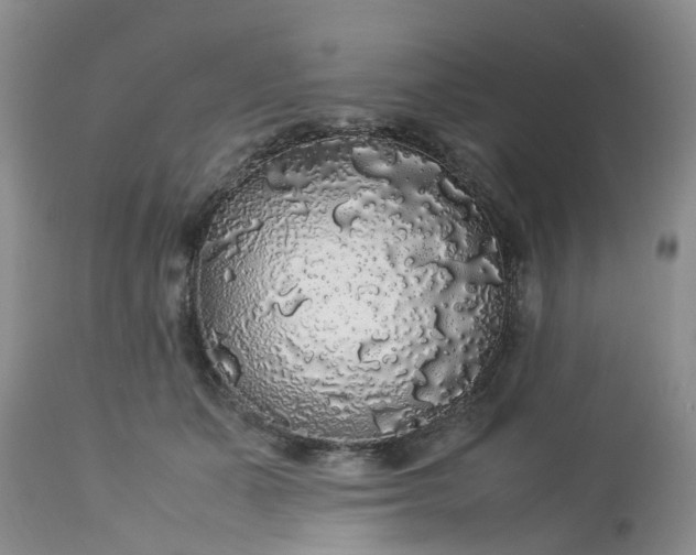 X0000113070511200909110943