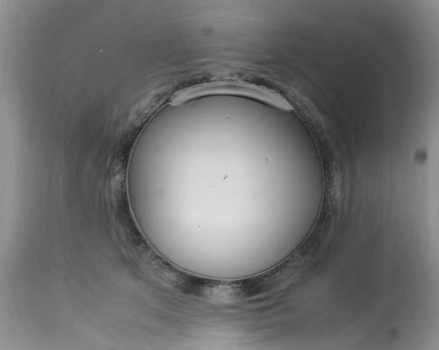 X0000113070513200909110943