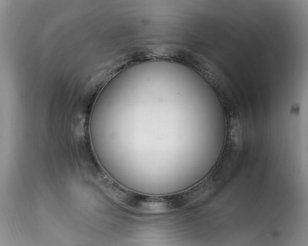 X0000113070514200909110943