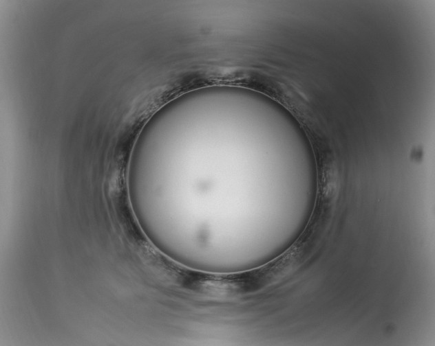 X0000113070515200909110943