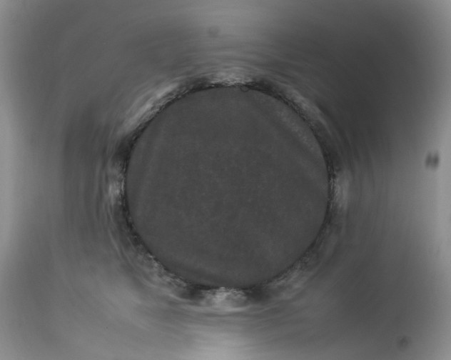 X0000113070517200909110943