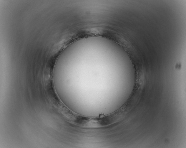 X0000113070518200909110943