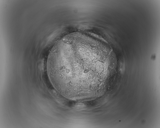 X0000113070519200909110943