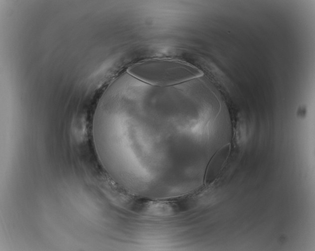 X0000113070520200909110943