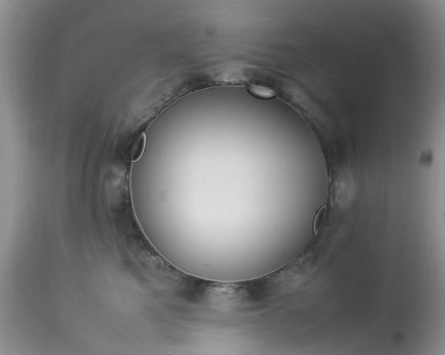 X0000113070521200909110943