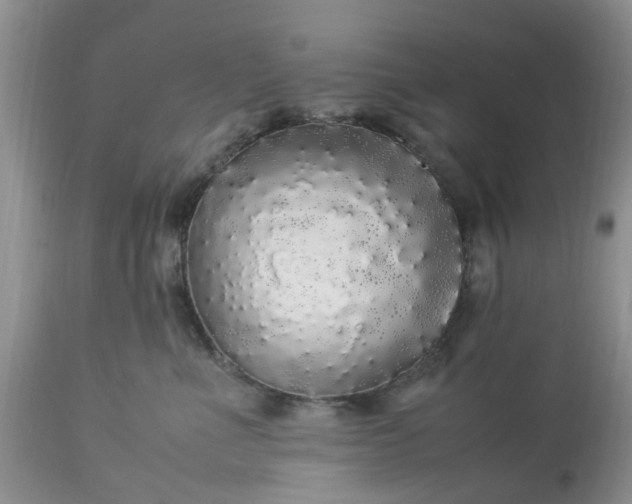 X0000113070523200909110943