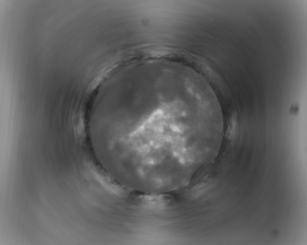 X0000113070524200909110943