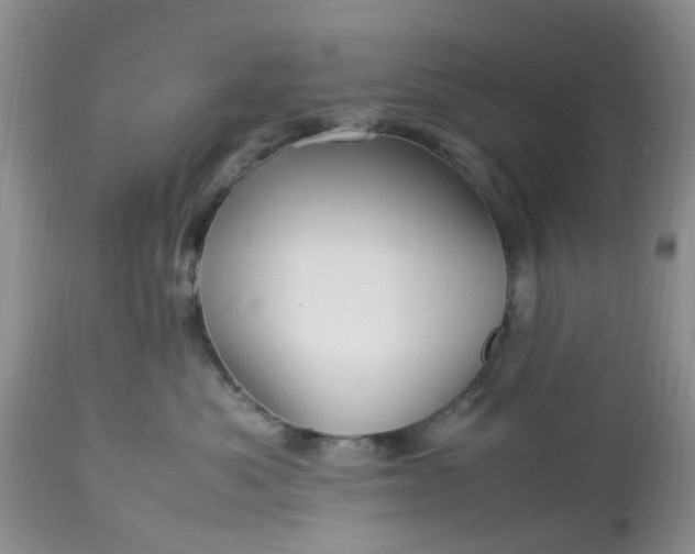 X0000113070525200909110943