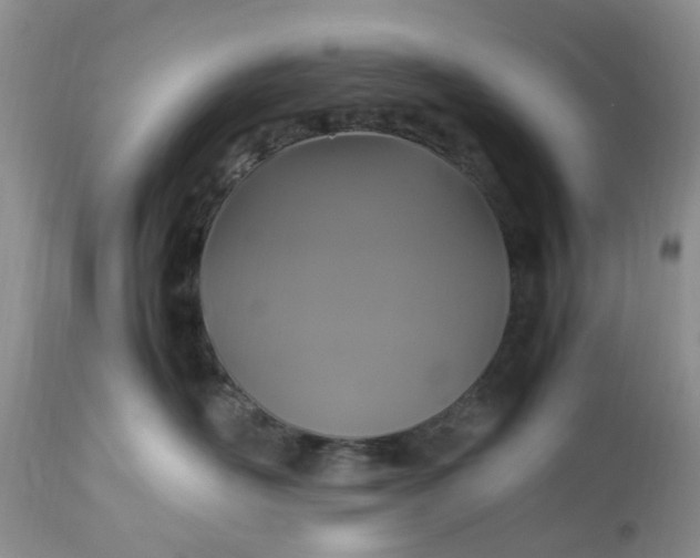 X0000113070526200909110943