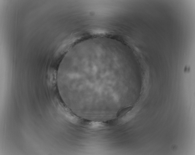 X0000113070528200909110943