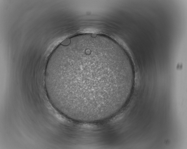 X0000113070529200909110942