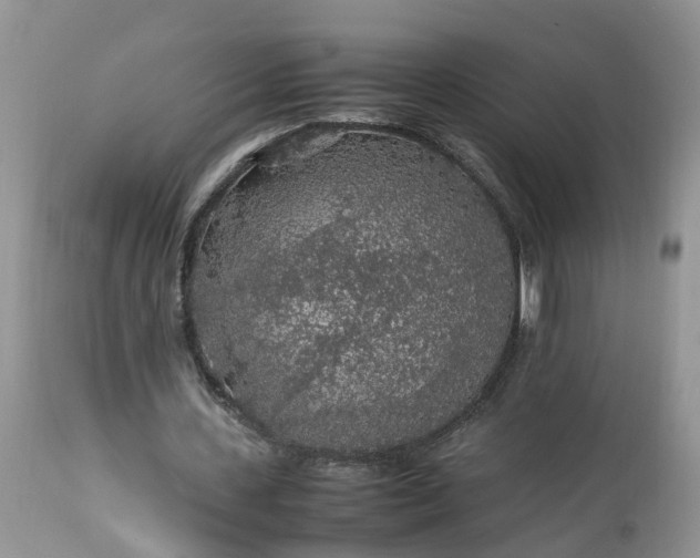 X0000113070531200909110942