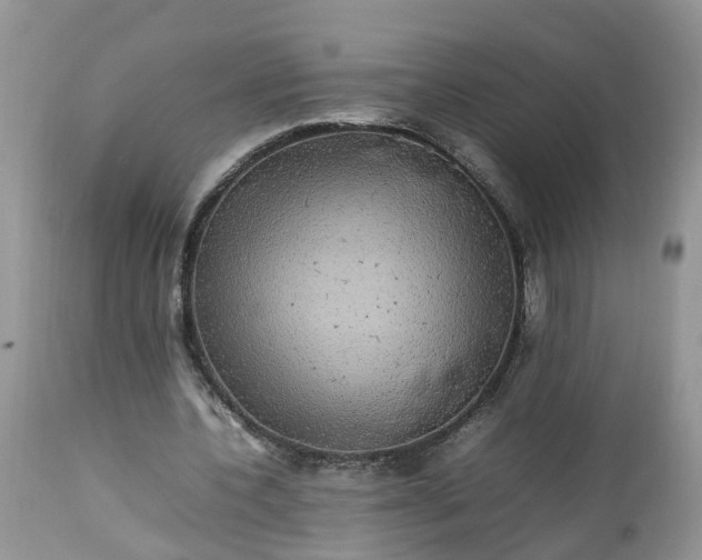 X0000113070532200909110942