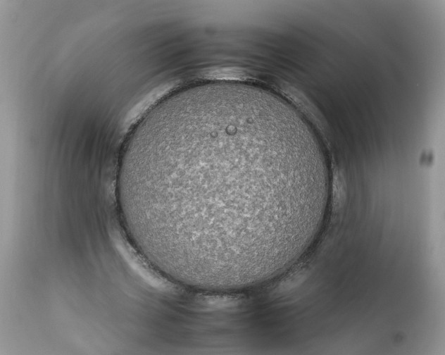 X0000113070533200909110942