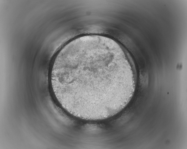 X0000113070534200909110942