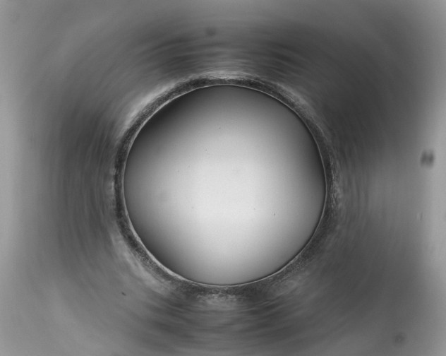 X0000113070535200909110942