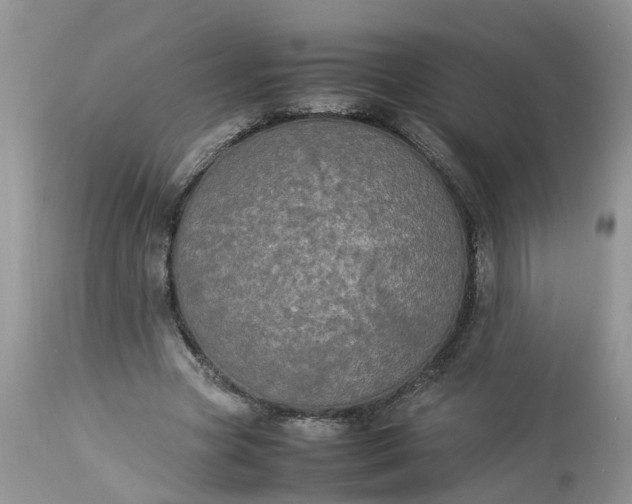 X0000113070537200909110942