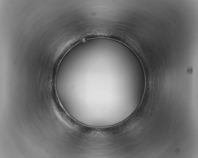 X0000113070538200909110942