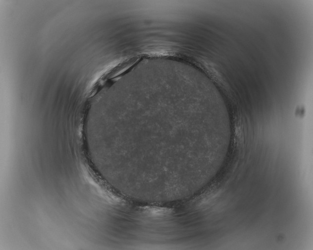 X0000113070539200909110943