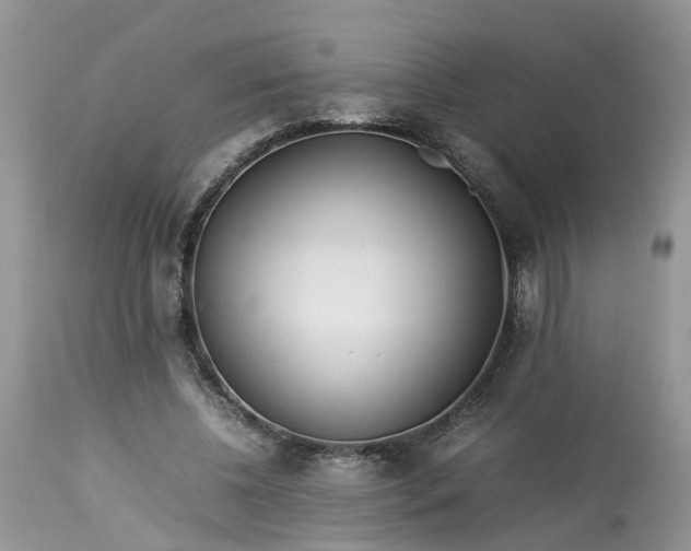 X0000113070540200909110943