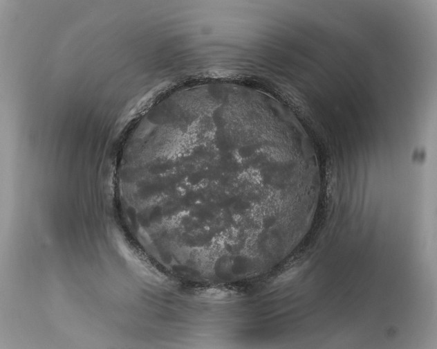 X0000113070542200909110943