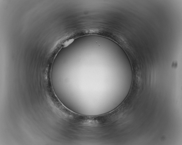 X0000113070543200909110943