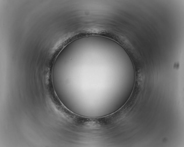 X0000113070544200909110943