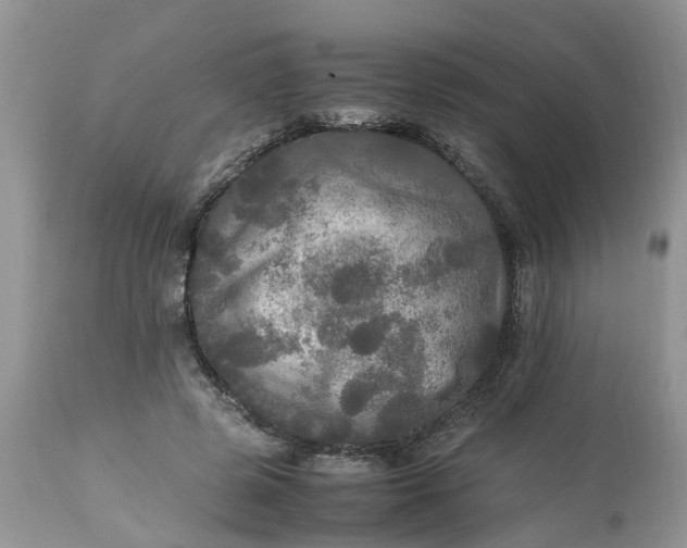 X0000113070545200909110943