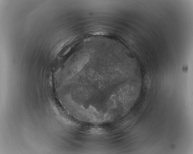 X0000113070547200909110943