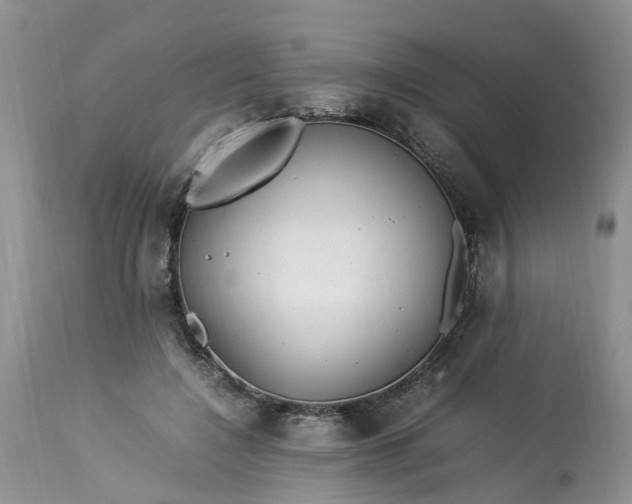 X0000113070548200909110943