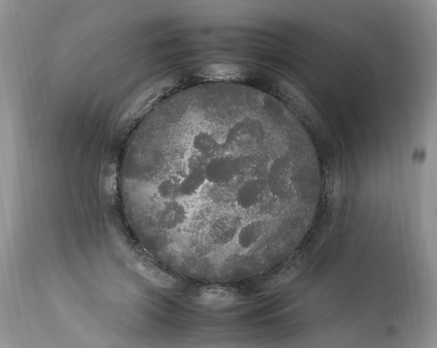 X0000113070549200909110943