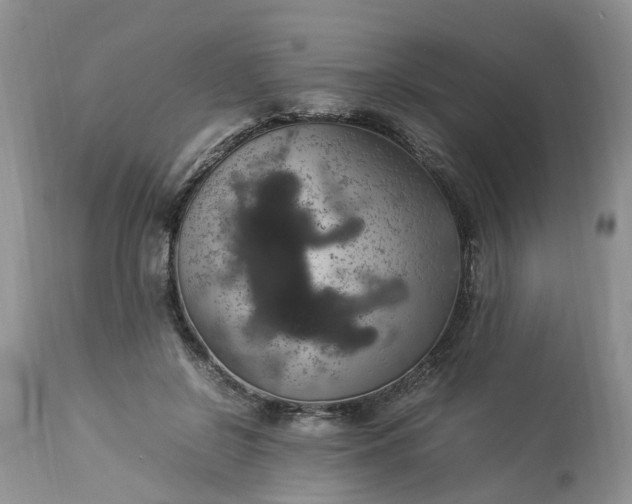 X0000113070550200909110943