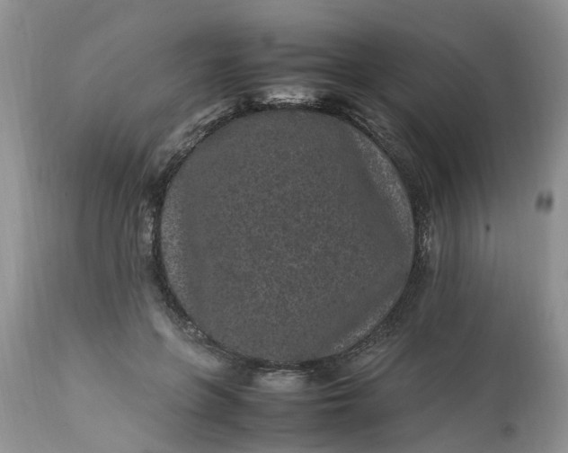 X0000113070551200909110943