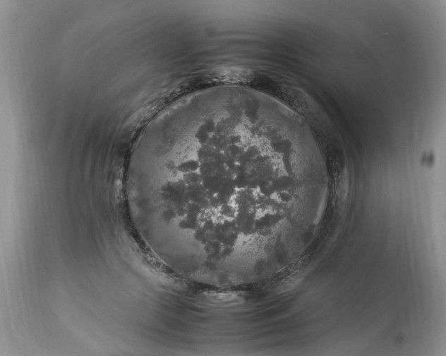 X0000113070553200909110943