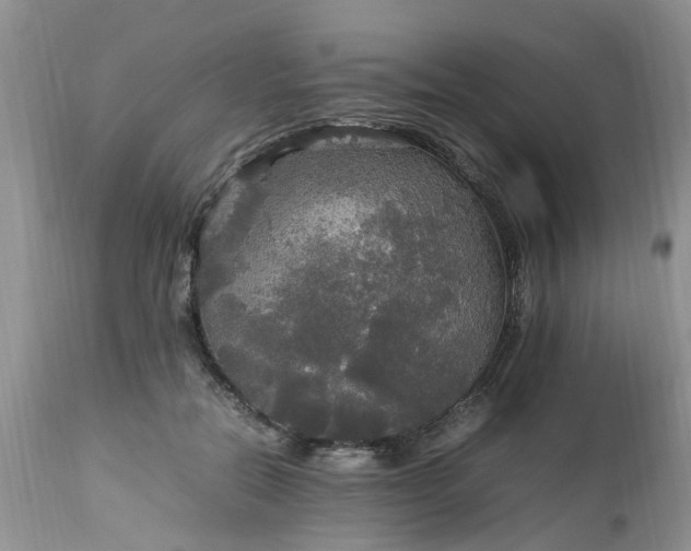 X0000113070554200909110943