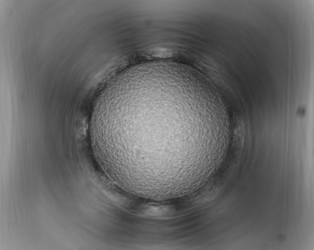 X0000113070555200909110943