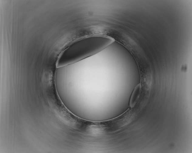 X0000113070556200909110943