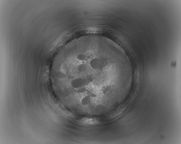 X0000113070557200909110943