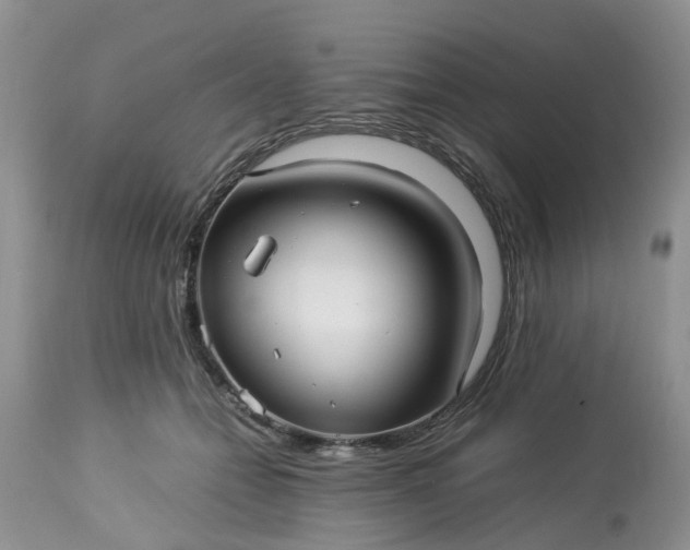 X0000113070558200909110943