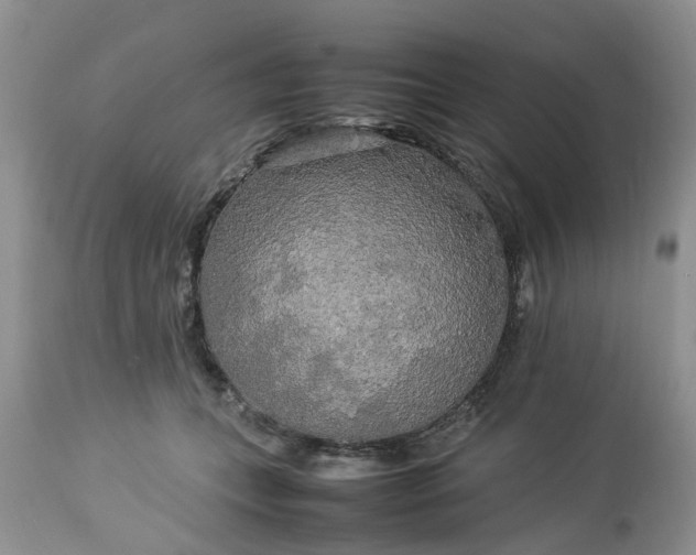 X0000113070559200909110943