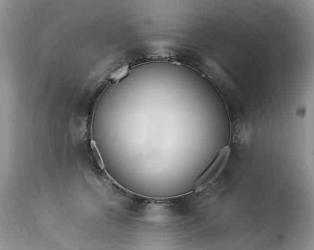 X0000113070560200909110943