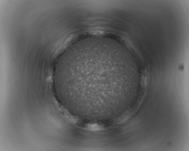 X0000113070561200909110943